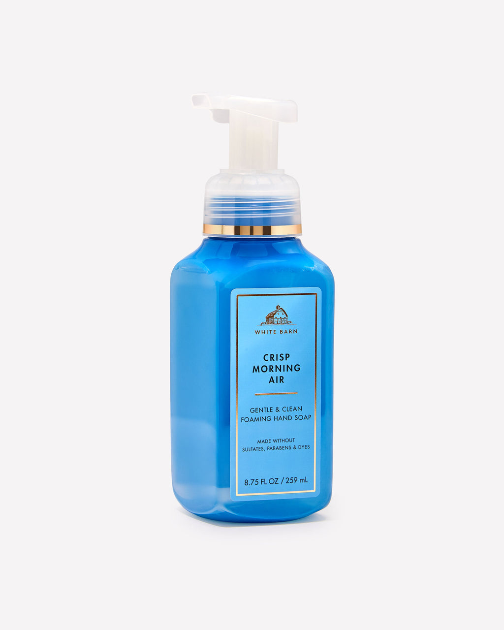 Crisp Morning Air Gentle & Clean Foaming Hand Soap