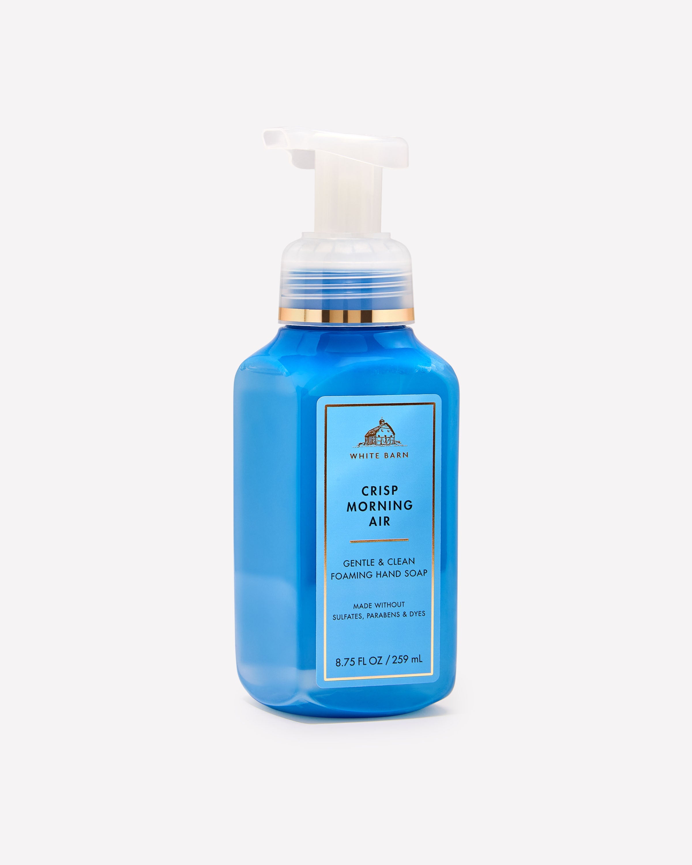 Crisp Morning Air Gentle & Clean Foaming Hand Soap