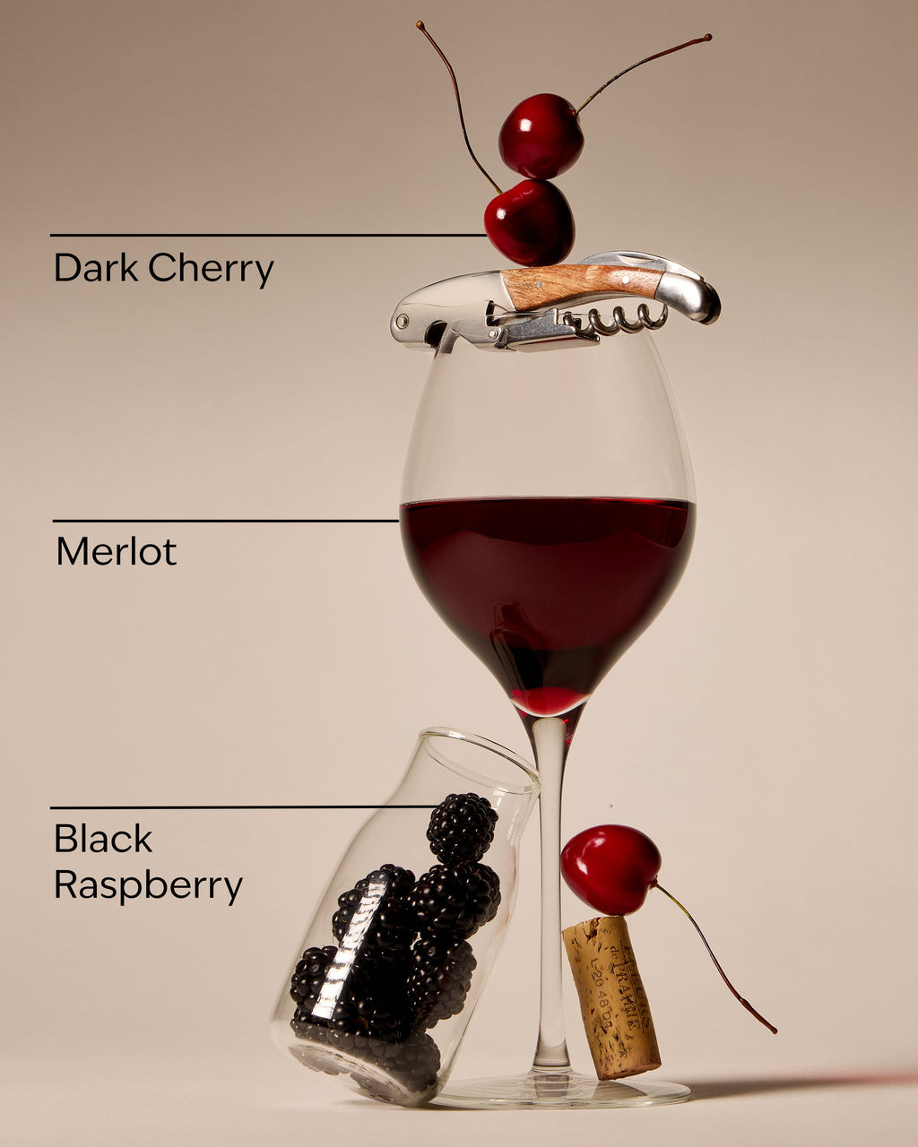 Black Cherry Merlot Wallflowers Refills 2-Pack