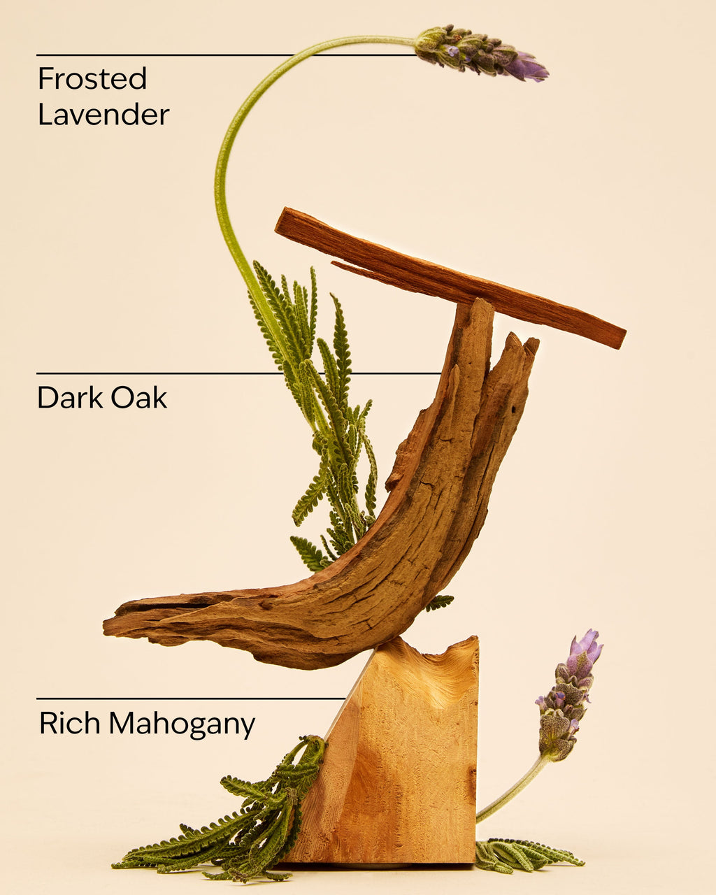 Mahogany Teakwood Car Fragrance Refill