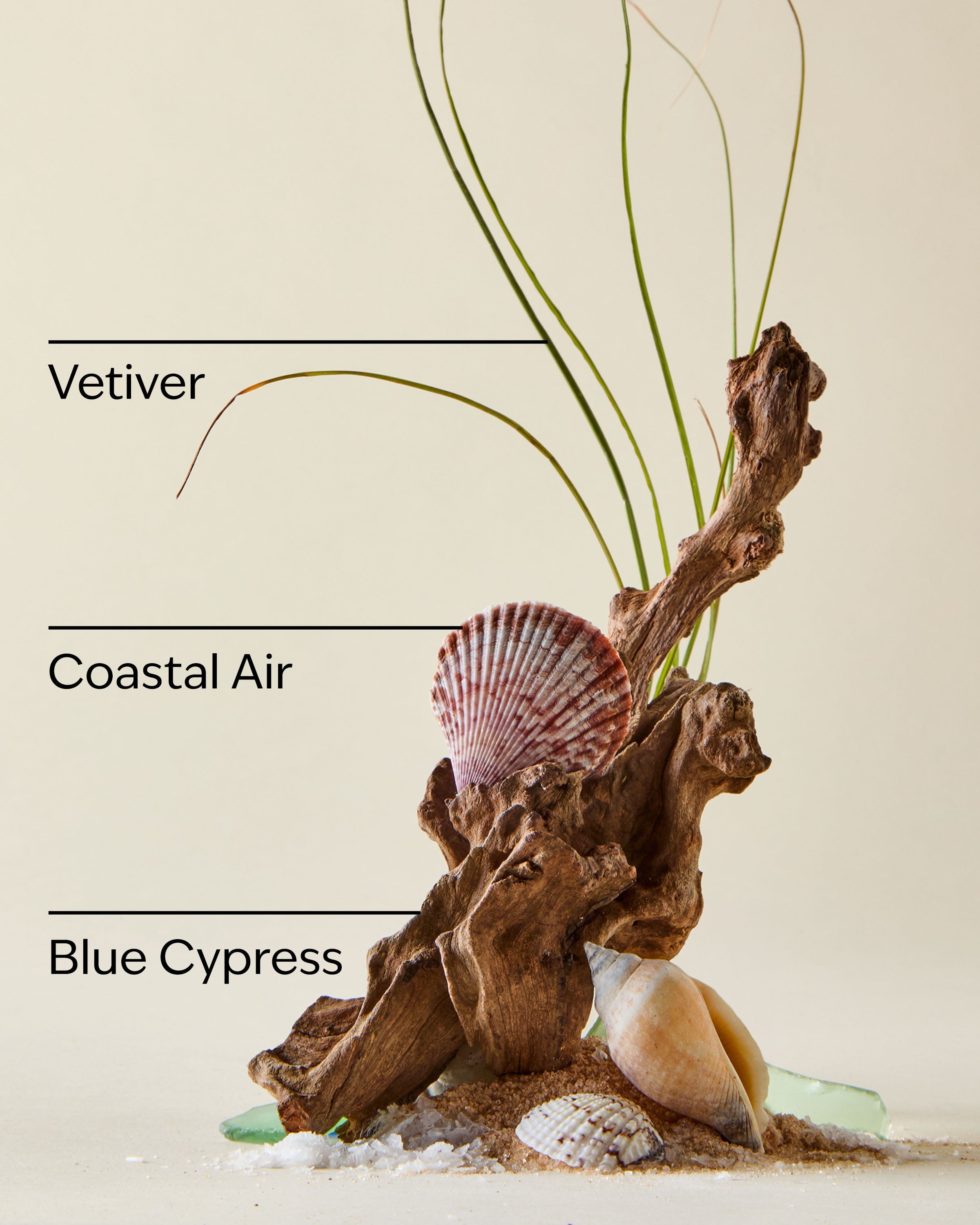 Ocean Travel Size Ultimate Hydration Body Cream