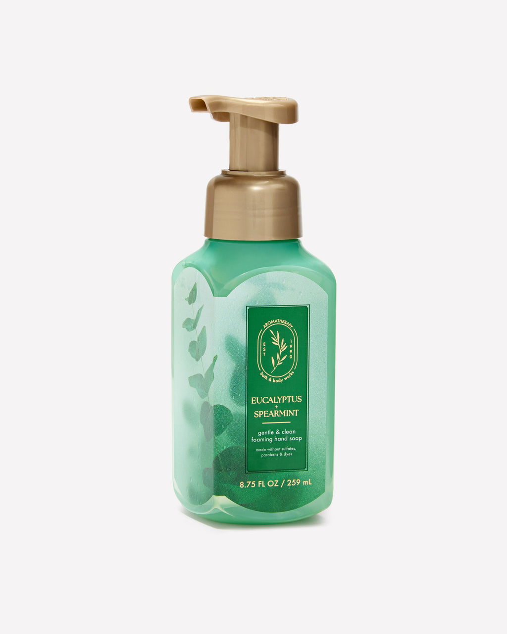 Eucalyptus Spearmint Gentle & Clean Foaming Hand Soap