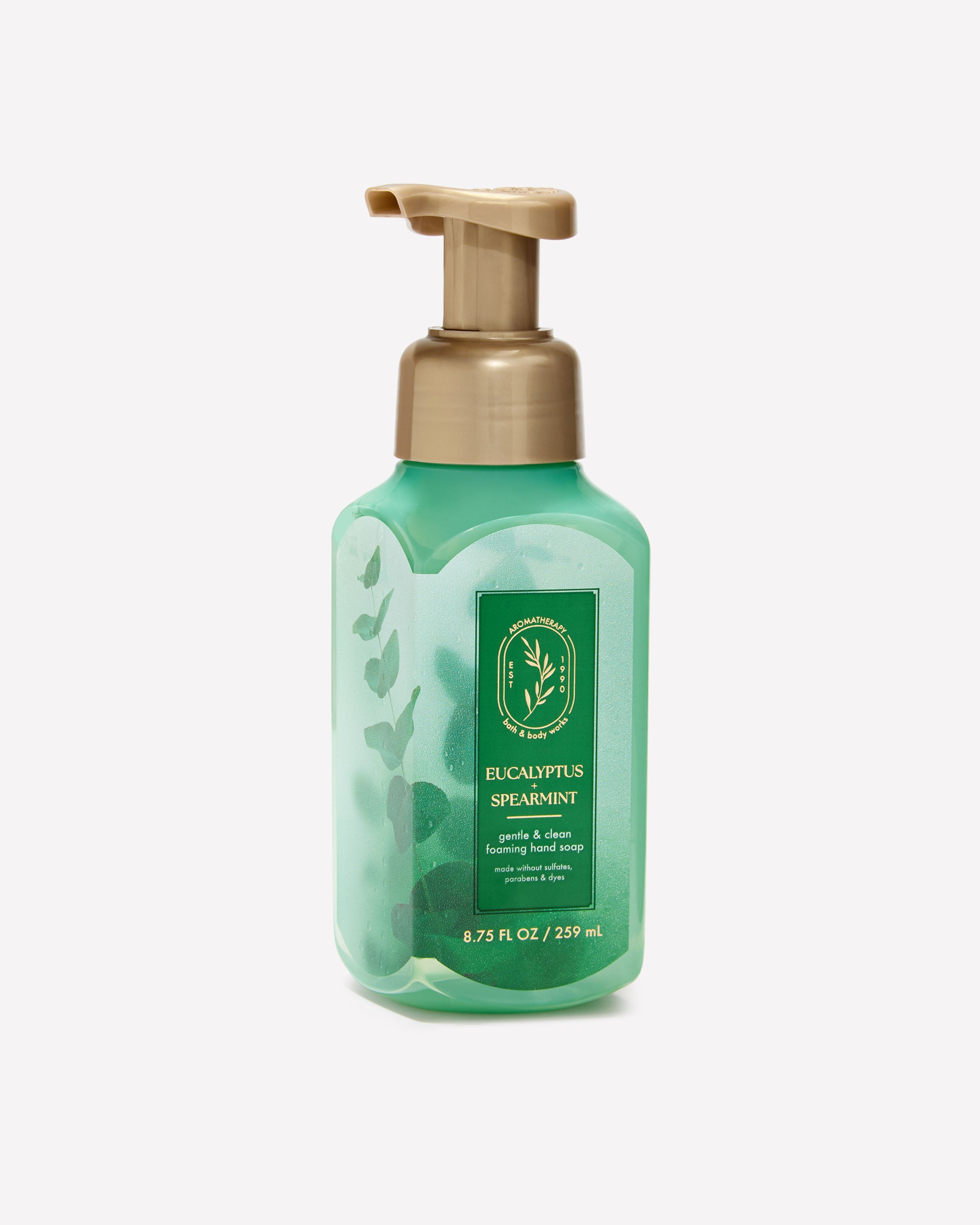 Eucalyptus Spearmint Gentle & Clean Foaming Hand Soap