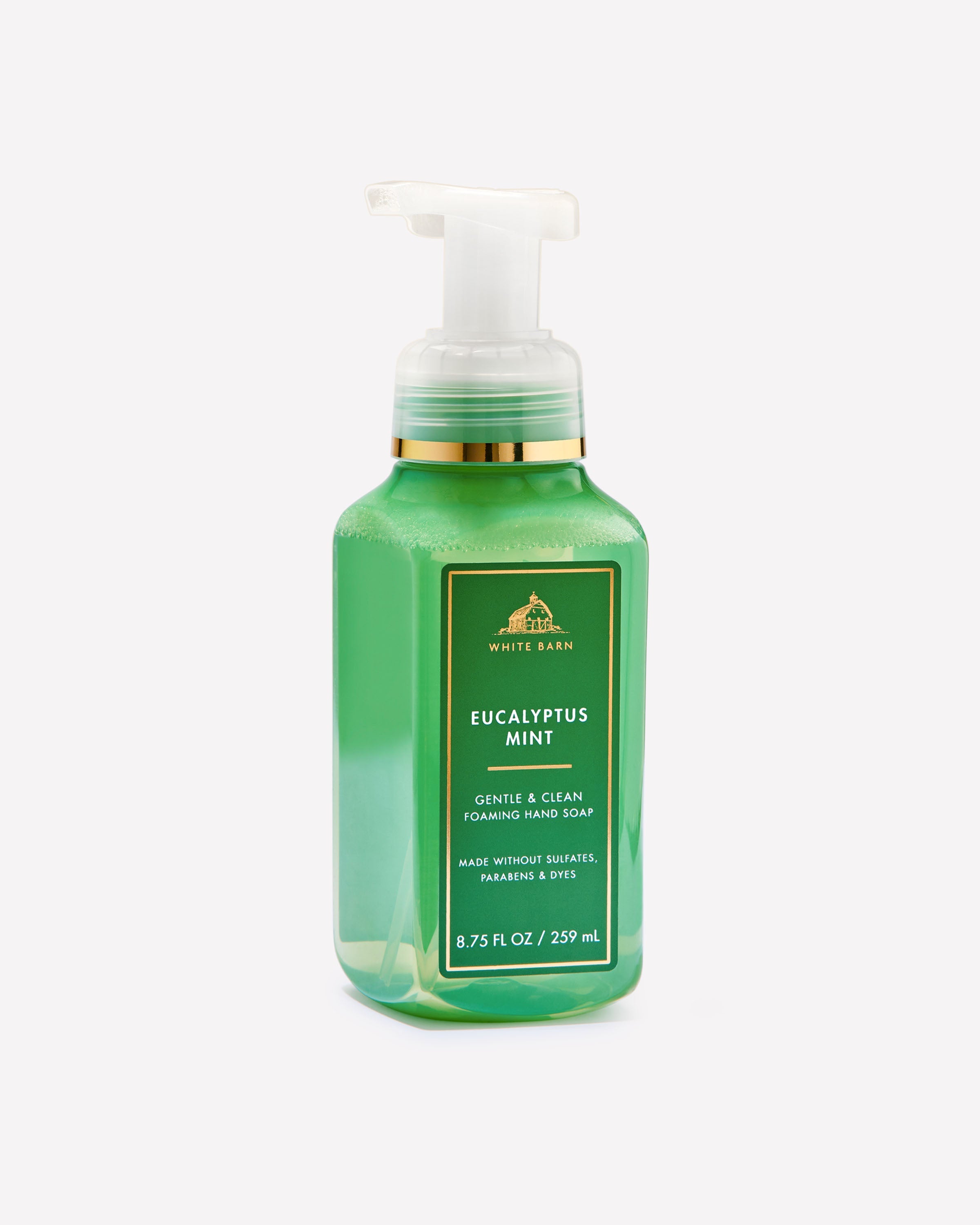 Eucalyptus Mint Gentle & Clean Foaming Hand Soap