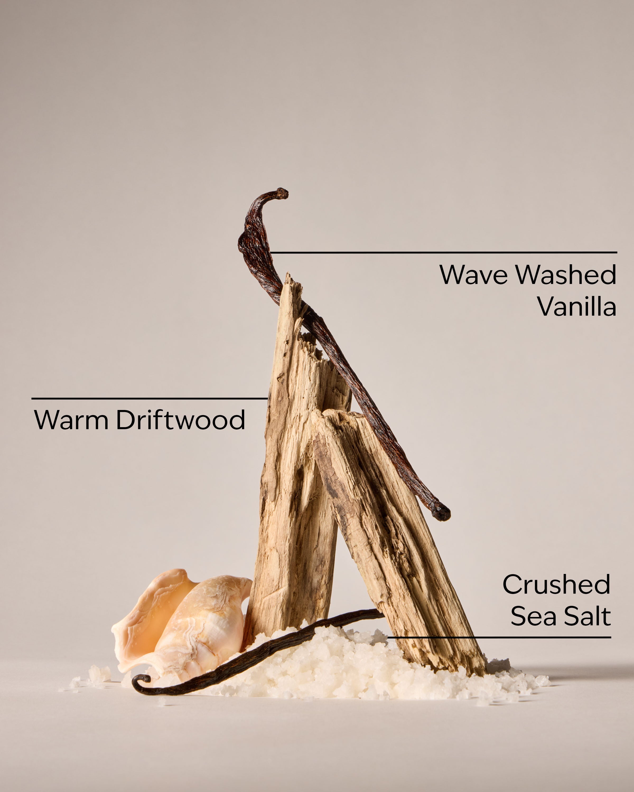 Coastal Dreaming Body Lotion