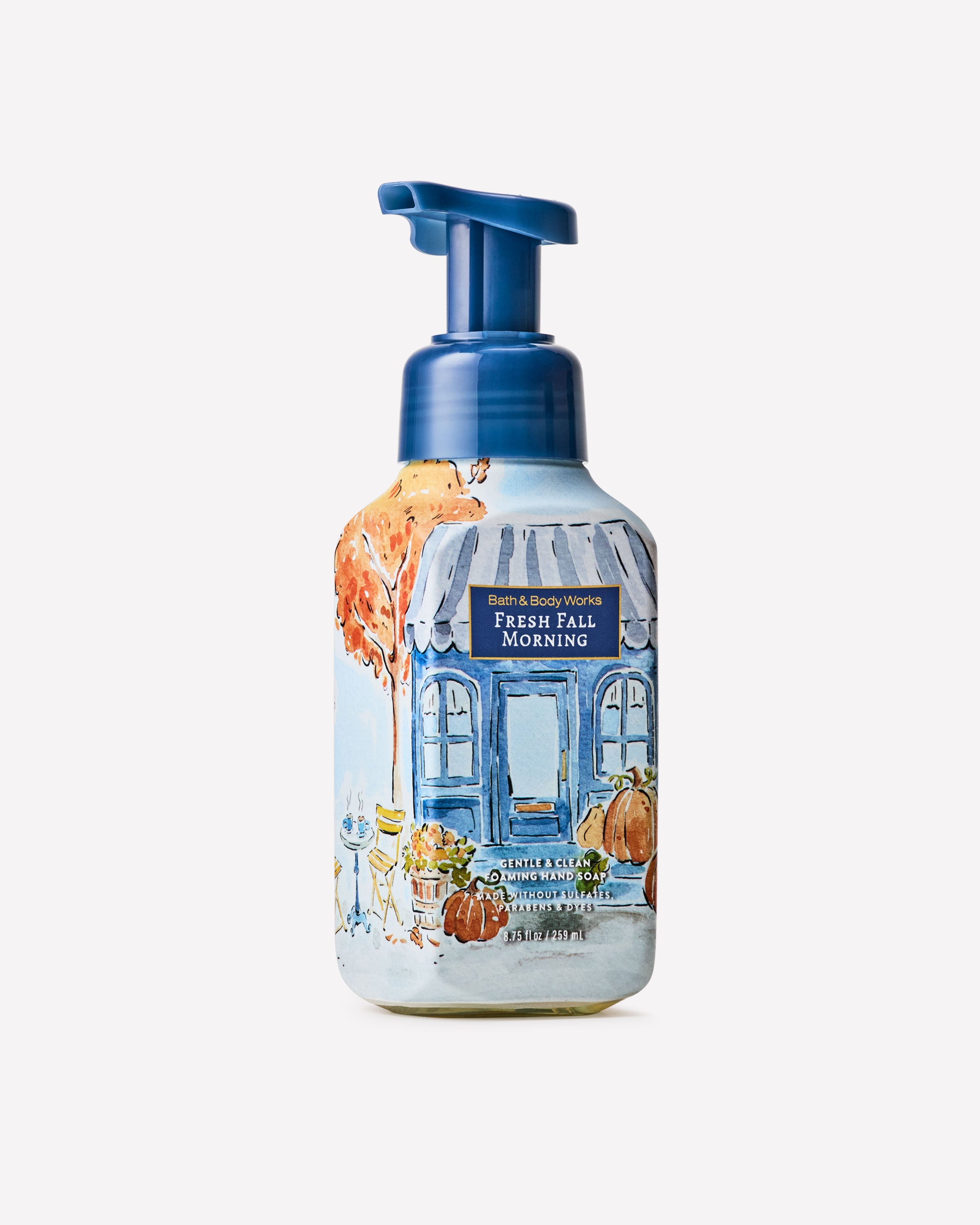 Fresh Fall Morning Gentle & Clean Foaming Hand Soap