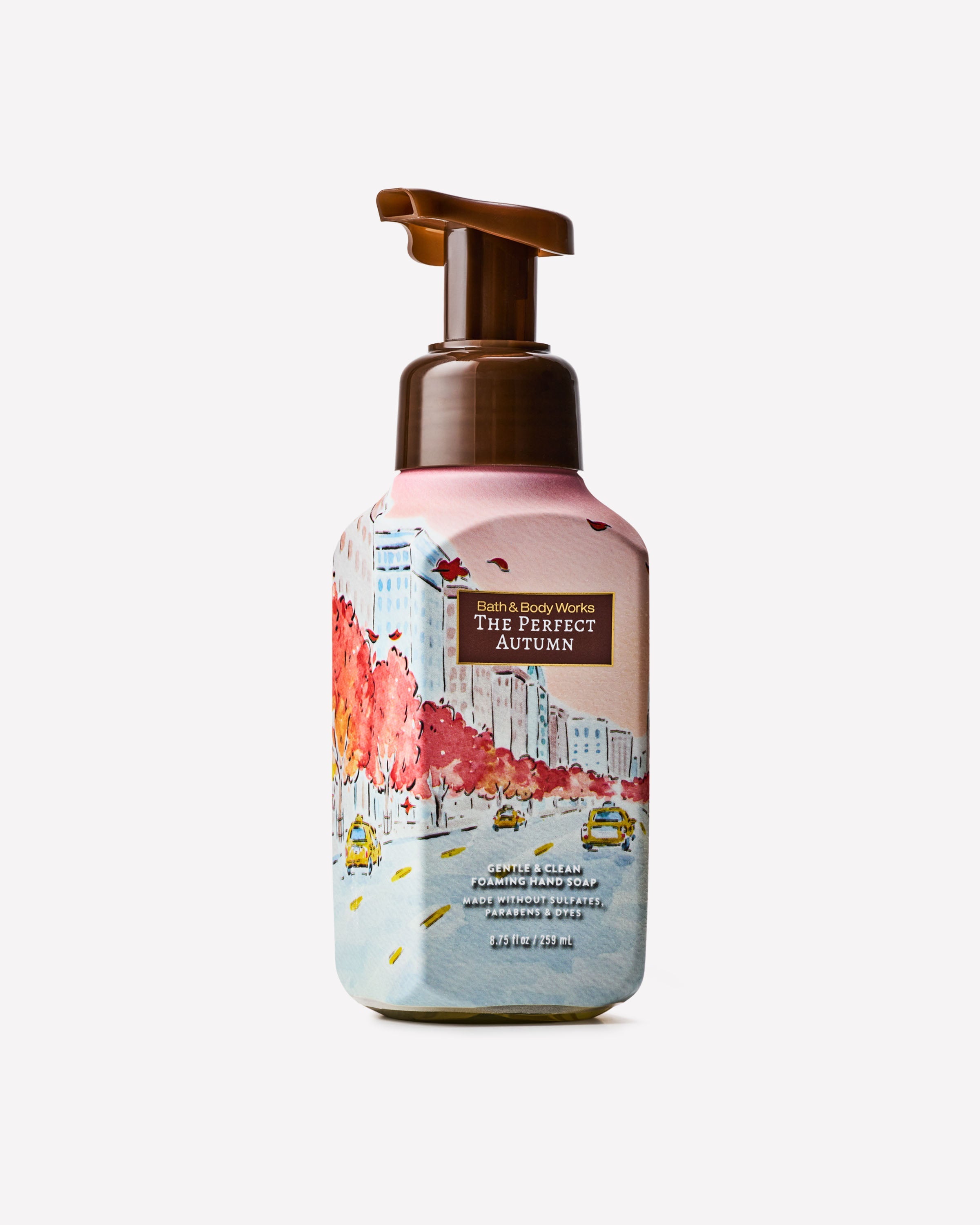 The Perfect Autumn Gentle & Clean Foaming Hand Soap